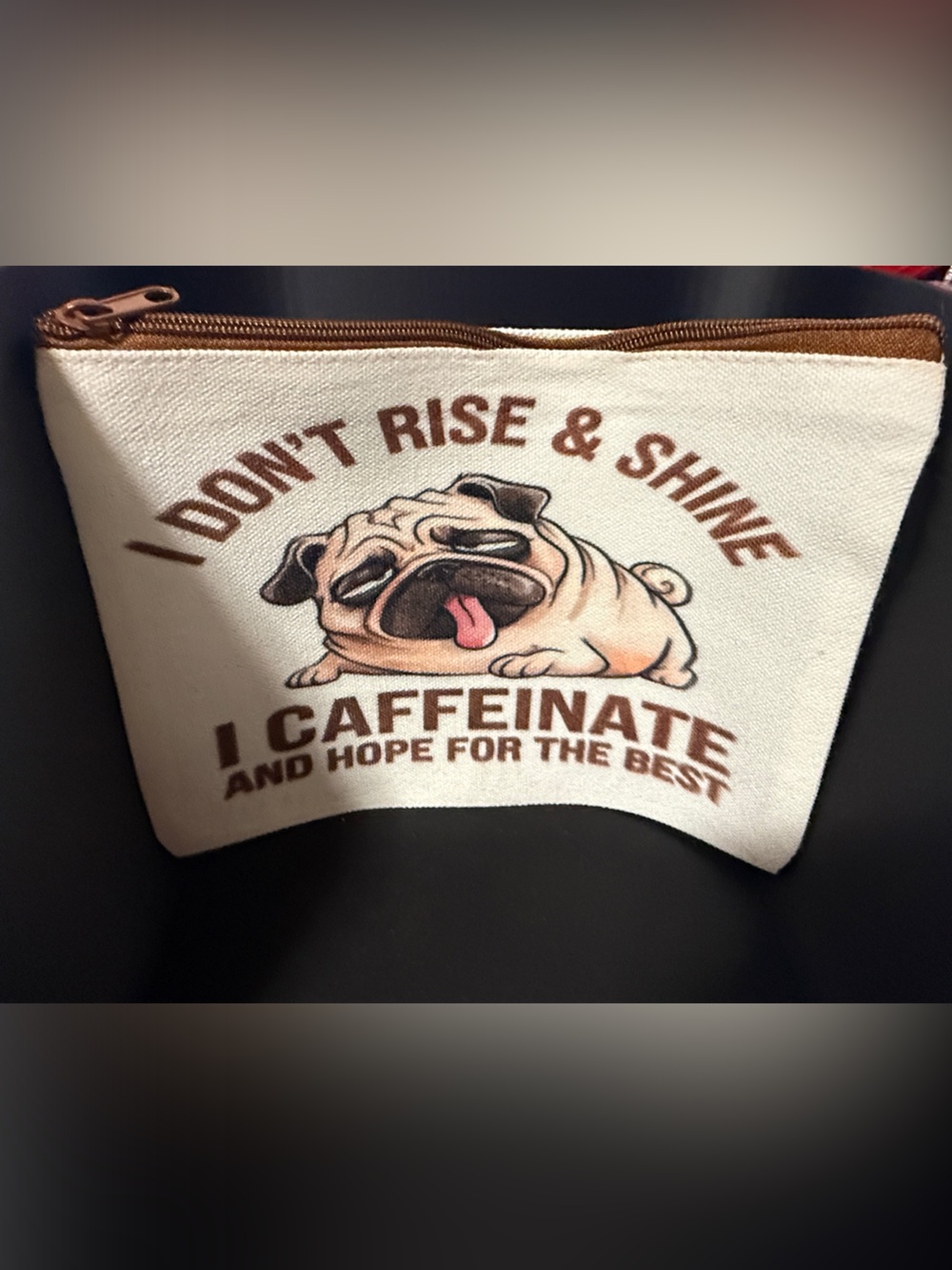 NEW Canvas Dog Zip Pouch - Beige Pug Design